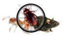 Restaurant Pest Control Adelaide logo